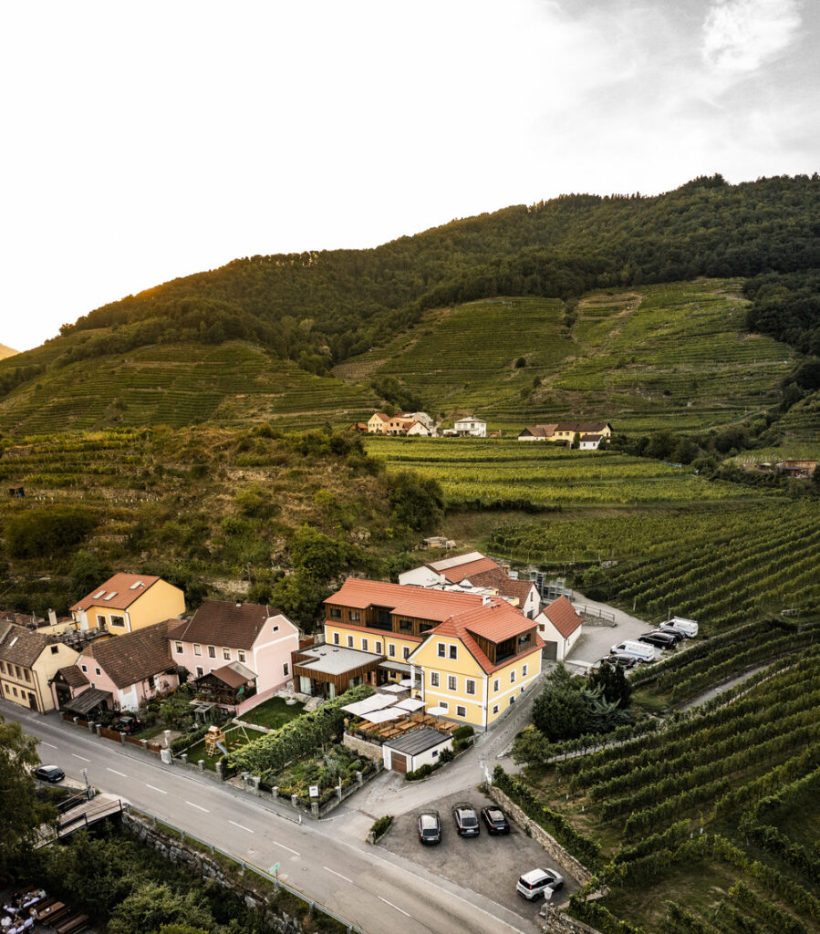 View of Weingut Donabaum from above and front, with many cultivated grapevines behind and next to the house