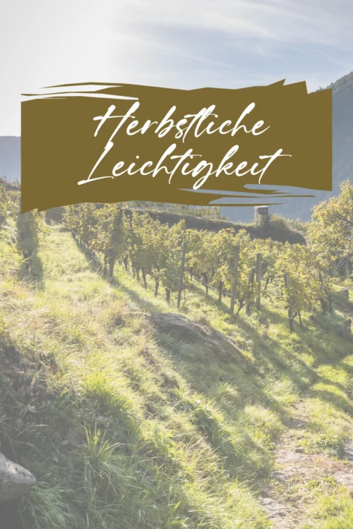 Herbstlicher Weingarten, Schriftzug "Herbstliche Leichtigkeit"