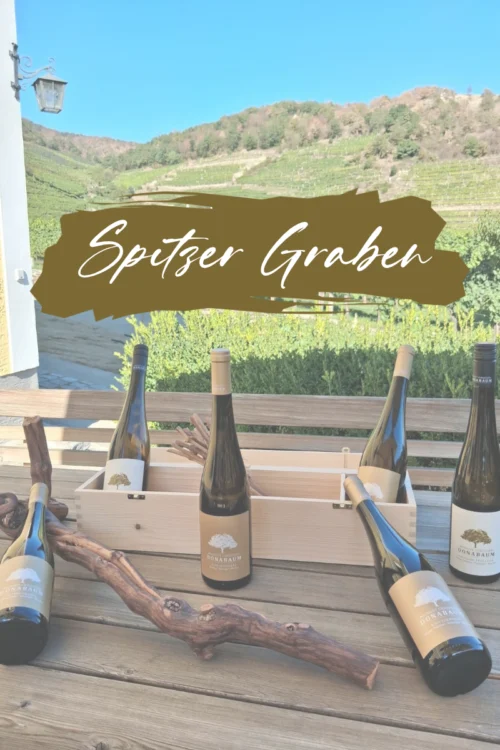 Six bottles of wine included in the package, with white or gold labels featuring a gold or white tree. The words “Spitzer Graben” are printed on the labels.