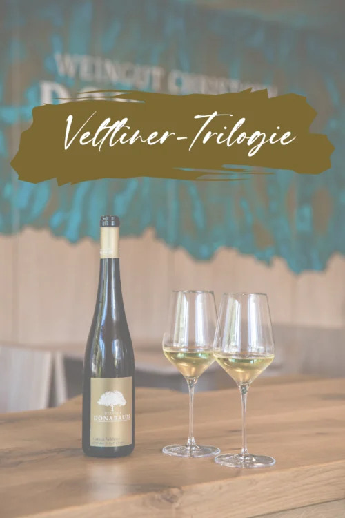 Weinflasche mit goldenem Etikett und wei&szlig;em Baum darauf und 2 gef&uuml;llte Weingl&auml;ser, Schriftzug "Veltliner-Trilogie"