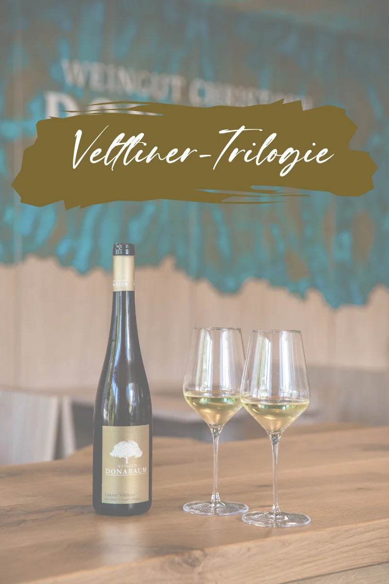 Weinflasche mit goldenem Etikett und weißem Baum darauf und 2 gefüllte Weingläser, Schriftzug "Veltliner-Trilogie"