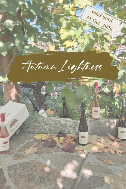 Autumnal vines with 6 bottles wine from the tasting package. Lettering "Autumn Lightness"