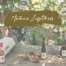 Autumnal vines with 6 bottles wine from the tasting package. Lettering "Autumn Lightness"
