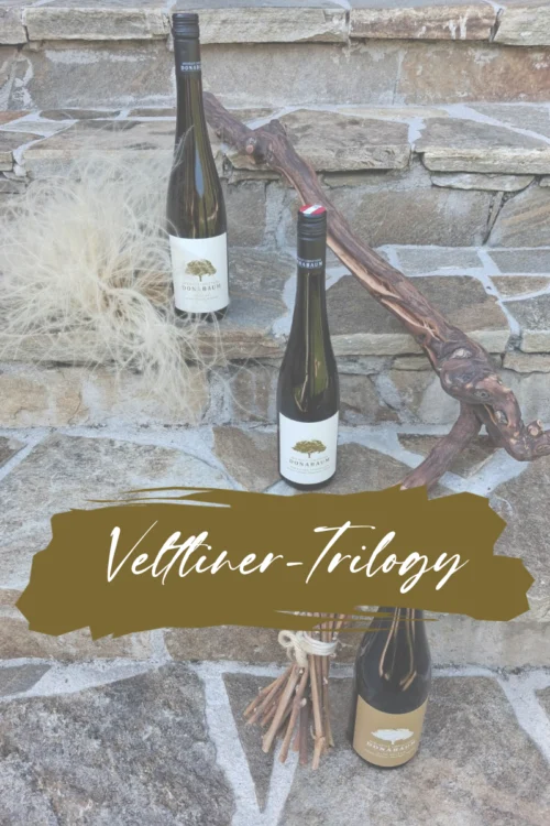 Three bottles of wine included in the package, with white or gold labels featuring a gold or white tree. The words “Veltliner Trilogy” are printed on the labels.